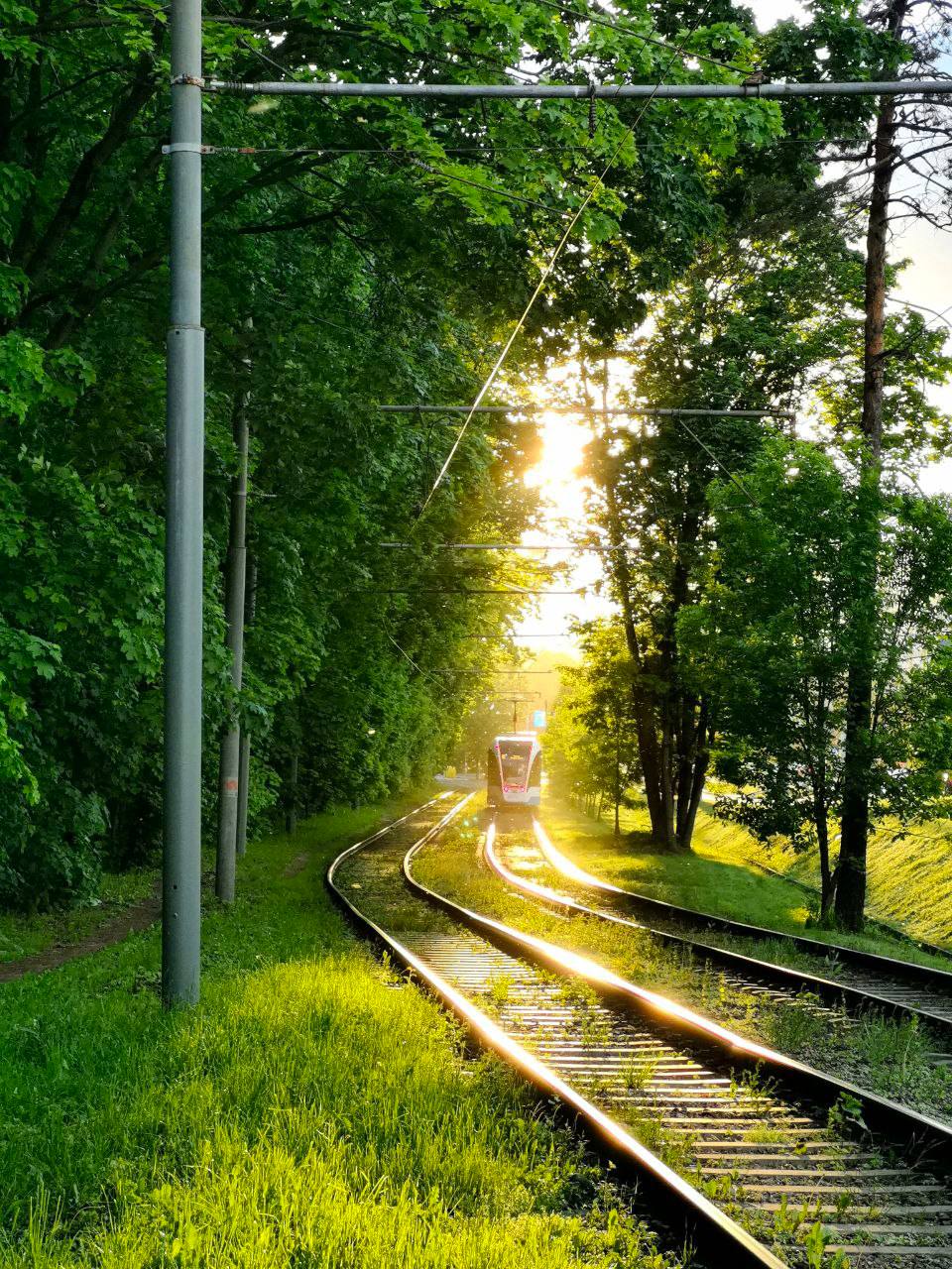 Работа ученика фотошколы — 17